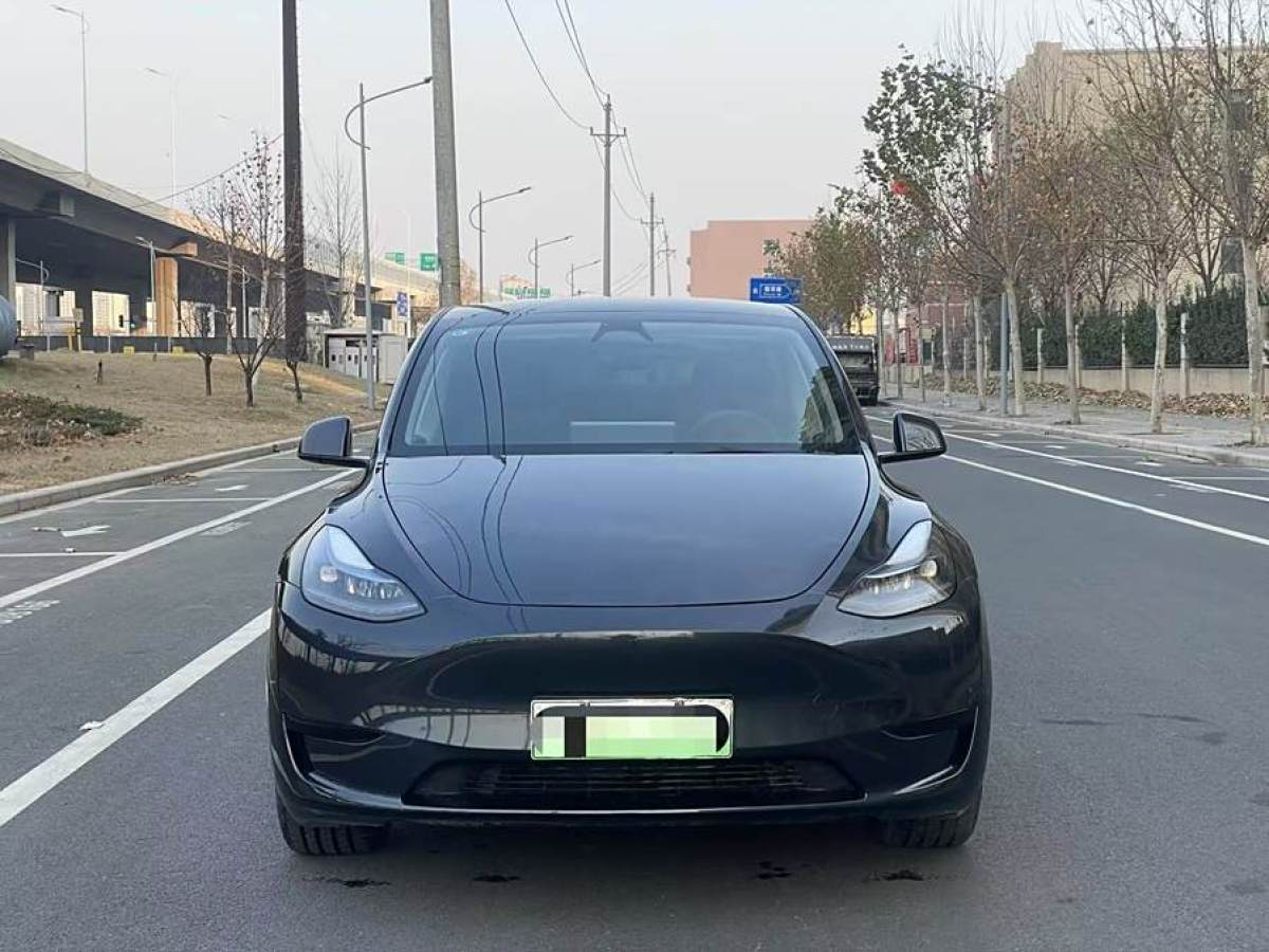 特斯拉 Model 3  2020款 改款 長(zhǎng)續(xù)航后輪驅(qū)動(dòng)版圖片