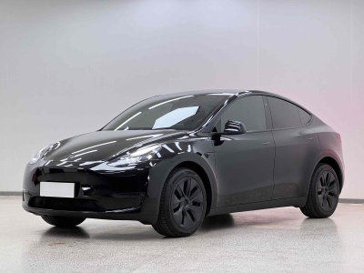 2024年8月 特斯拉 Model Y 長續(xù)航煥新版 雙電機全輪驅動圖片