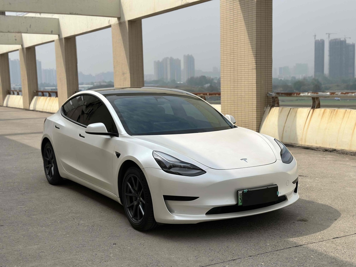 2021年1月特斯拉 Model Y  2021款 標(biāo)準(zhǔn)續(xù)航后驅(qū)升級版 3D6