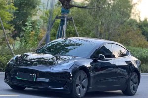 Model 3 特斯拉 改款 標準續(xù)航后驅升級版