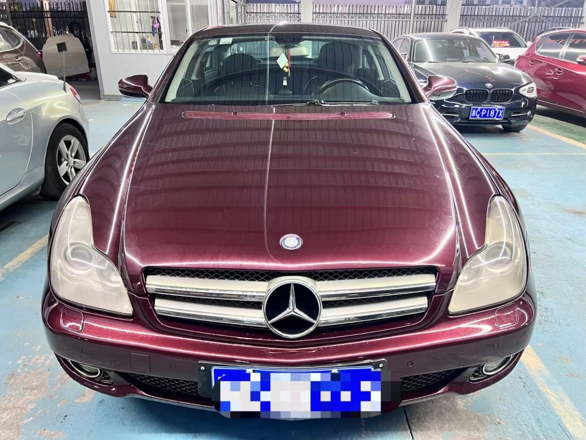 奔馳 奔馳CLS級  2009款 CLS 300圖片