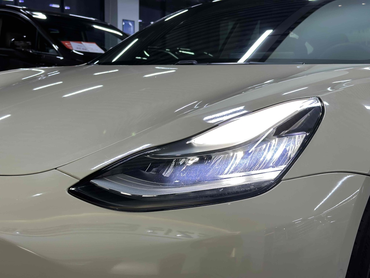 特斯拉 Model 3  2019款 標(biāo)準(zhǔn)續(xù)航后驅(qū)升級(jí)版圖片