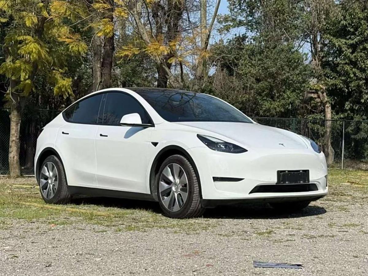 特斯拉 Model Y  2021款 改款 長(zhǎng)續(xù)航全輪驅(qū)動(dòng)版圖片