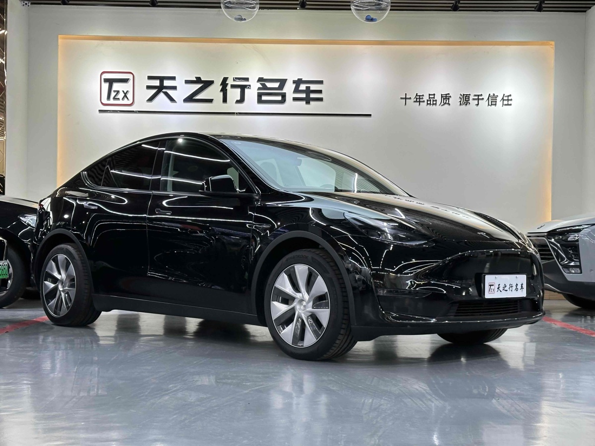 特斯拉 Model Y  2021款 改款 Performance高性能全輪驅(qū)動版圖片