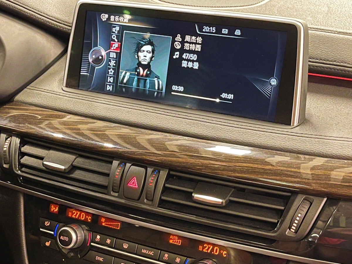 寶馬 寶馬X6  2015款 xDrive35i 領(lǐng)先型圖片