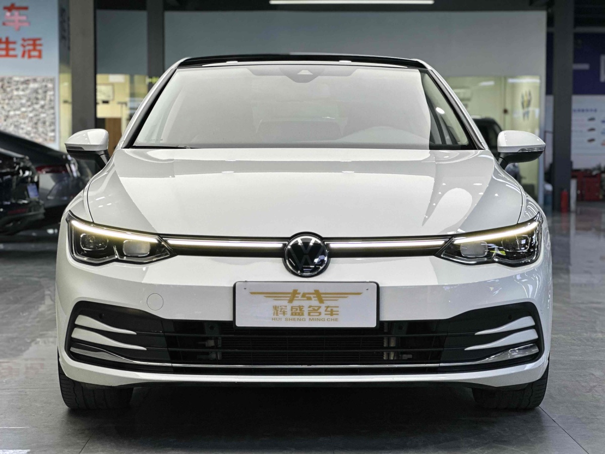 大眾 高爾夫  2021款 280TSI DSG Pro圖片