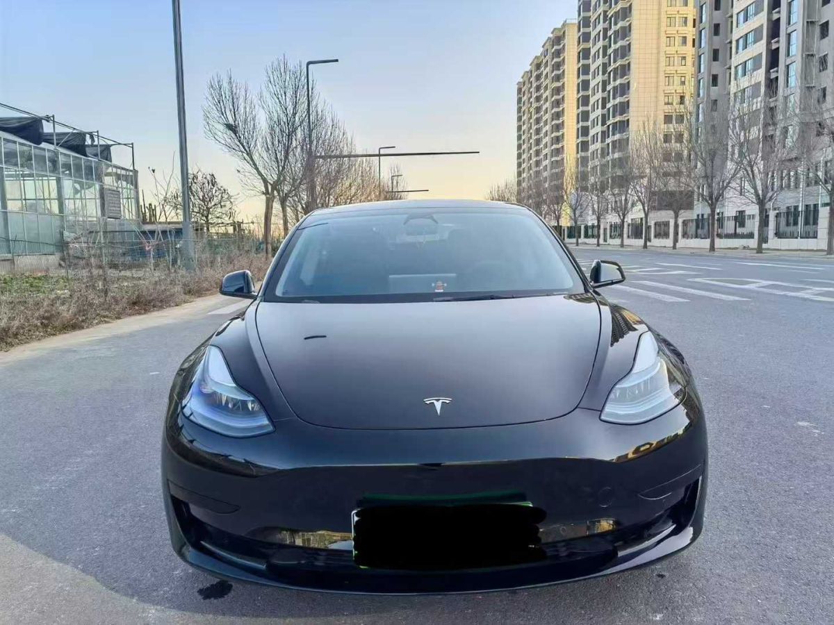 特斯拉 Model S  2023款 三電機全輪驅(qū)動 Plaid版圖片