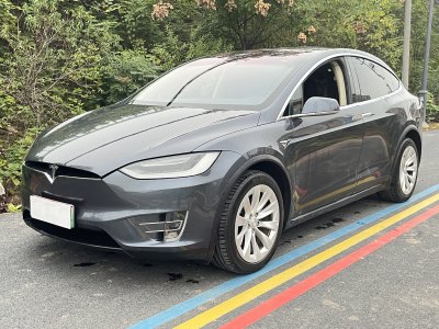 2017年2月 特斯拉 Model X Model X 75D圖片