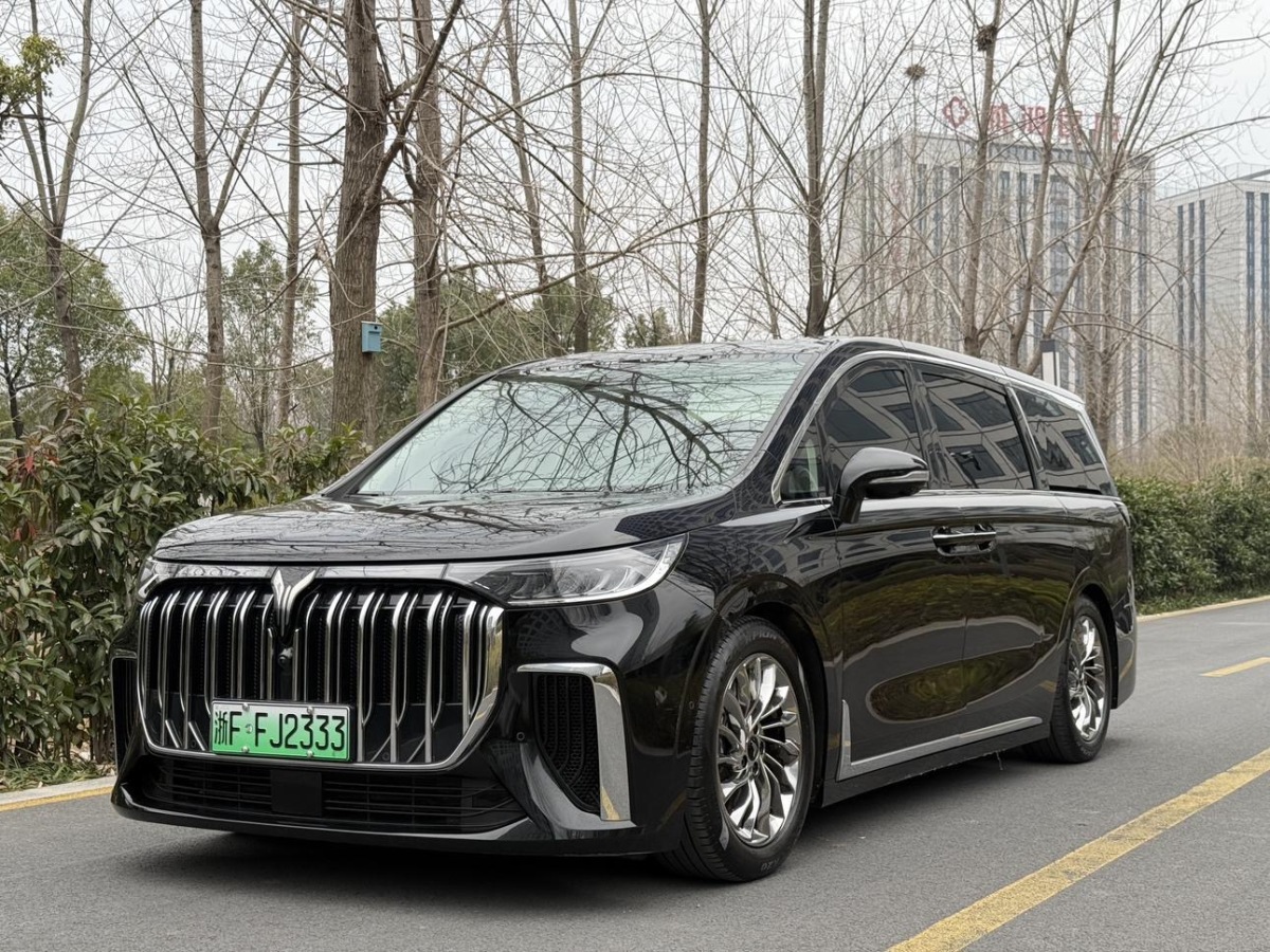 嵐圖 夢(mèng)想家  2024款 PHEV 超長(zhǎng)續(xù)航旗艦版圖片