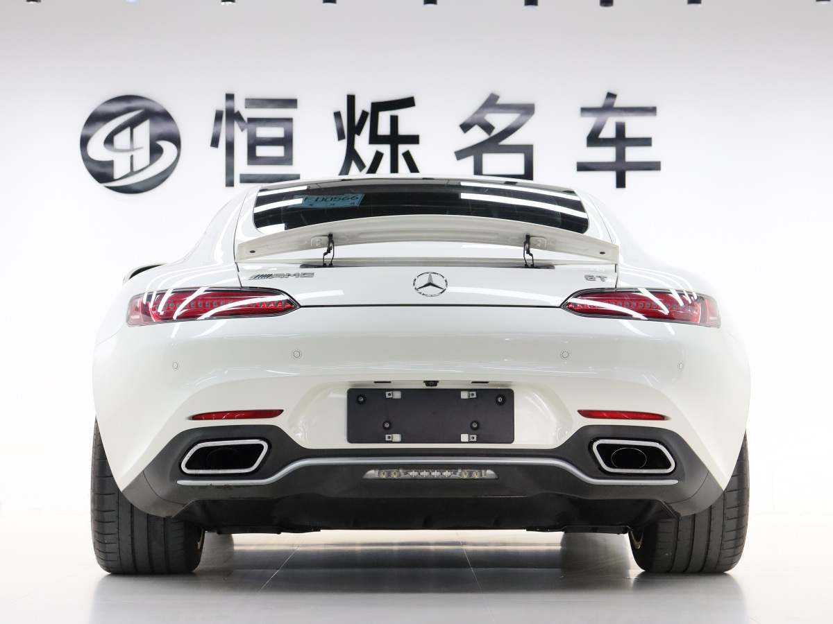 奔馳 奔馳AMG GT  2016款 AMG GT圖片