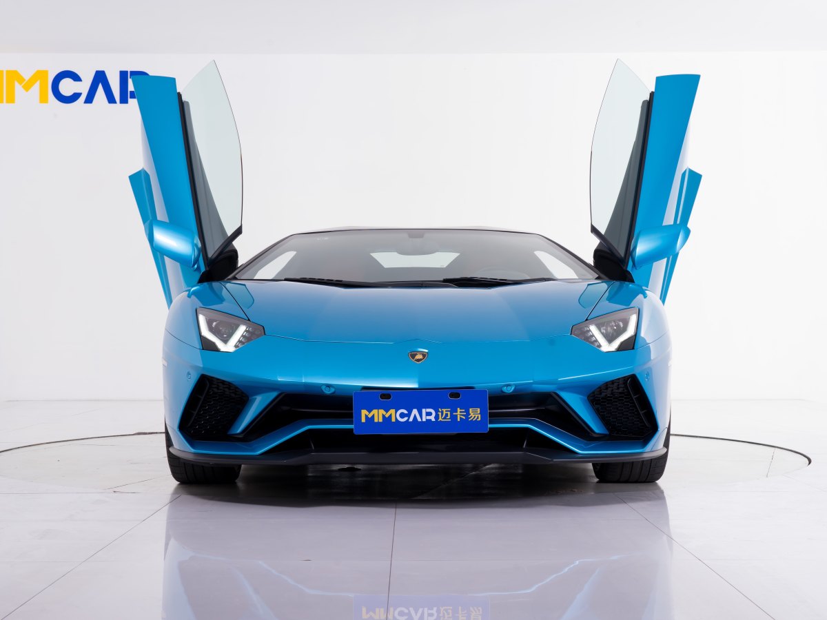 2019年1月蘭博基尼 Aventador  2018款 Aventador S Roadster