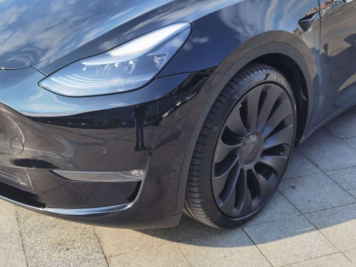 特斯拉 Model Y  2022款 Performance高性能全輪驅(qū)動(dòng)版圖片