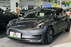 Model 3 特斯拉 标准续航后驱升级版