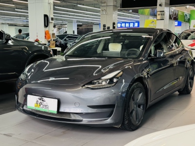 特斯拉 Model 3 標準續(xù)航后驅(qū)升級版圖片