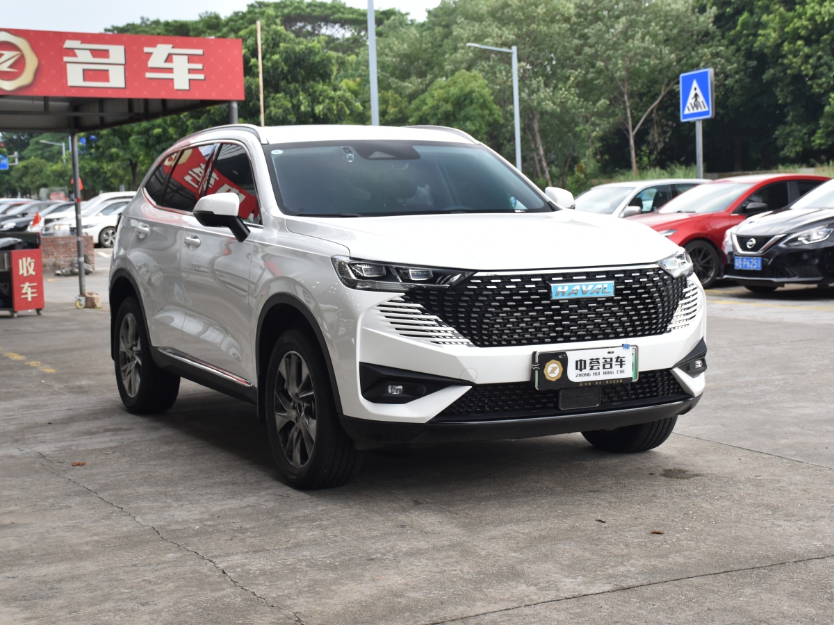 2023年3月哈弗 哈弗H6新能源  2023款 DHT-PHEV 110KM 暢行版