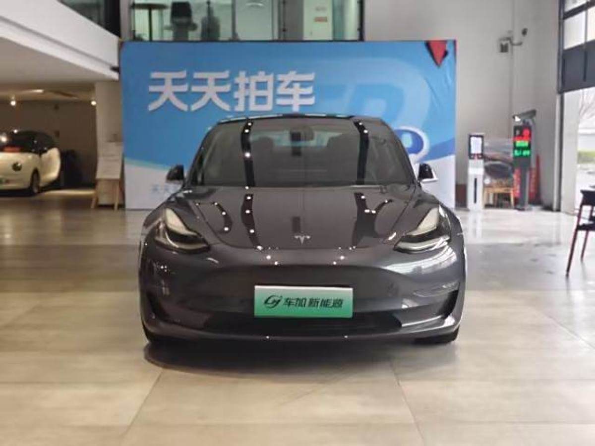 特斯拉 Model 3  2019款 長(zhǎng)續(xù)航全輪驅(qū)動(dòng)版圖片