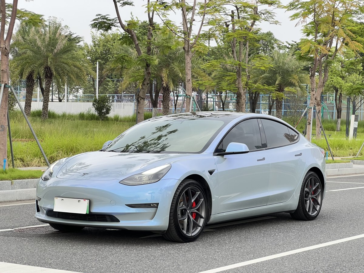 特斯拉 Model 3  2021款 Performance高性能全輪驅(qū)動(dòng)版 3D6圖片