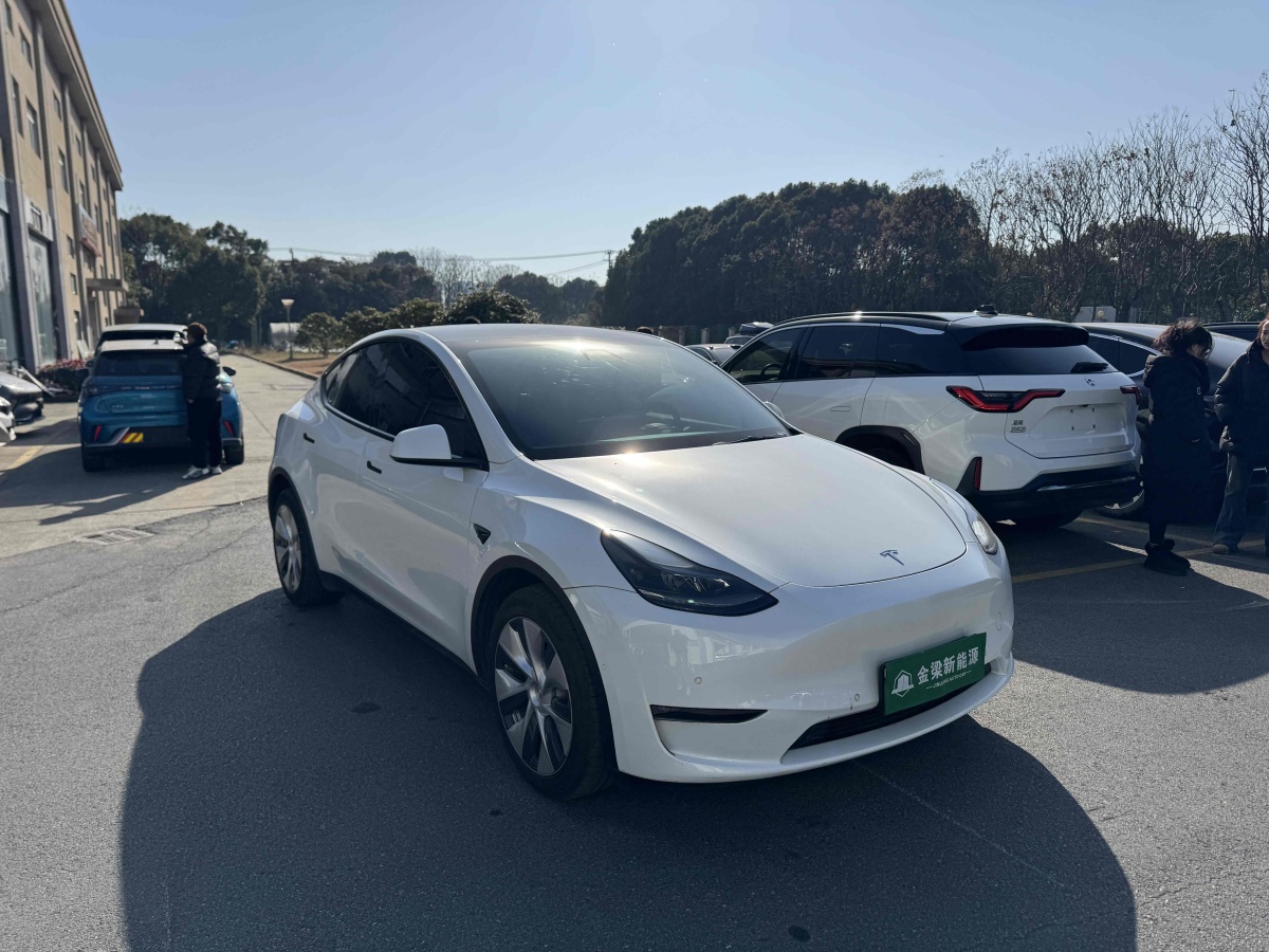 特斯拉 Model Y  2021款 長(zhǎng)續(xù)航全輪驅(qū)動(dòng)版 3D7圖片