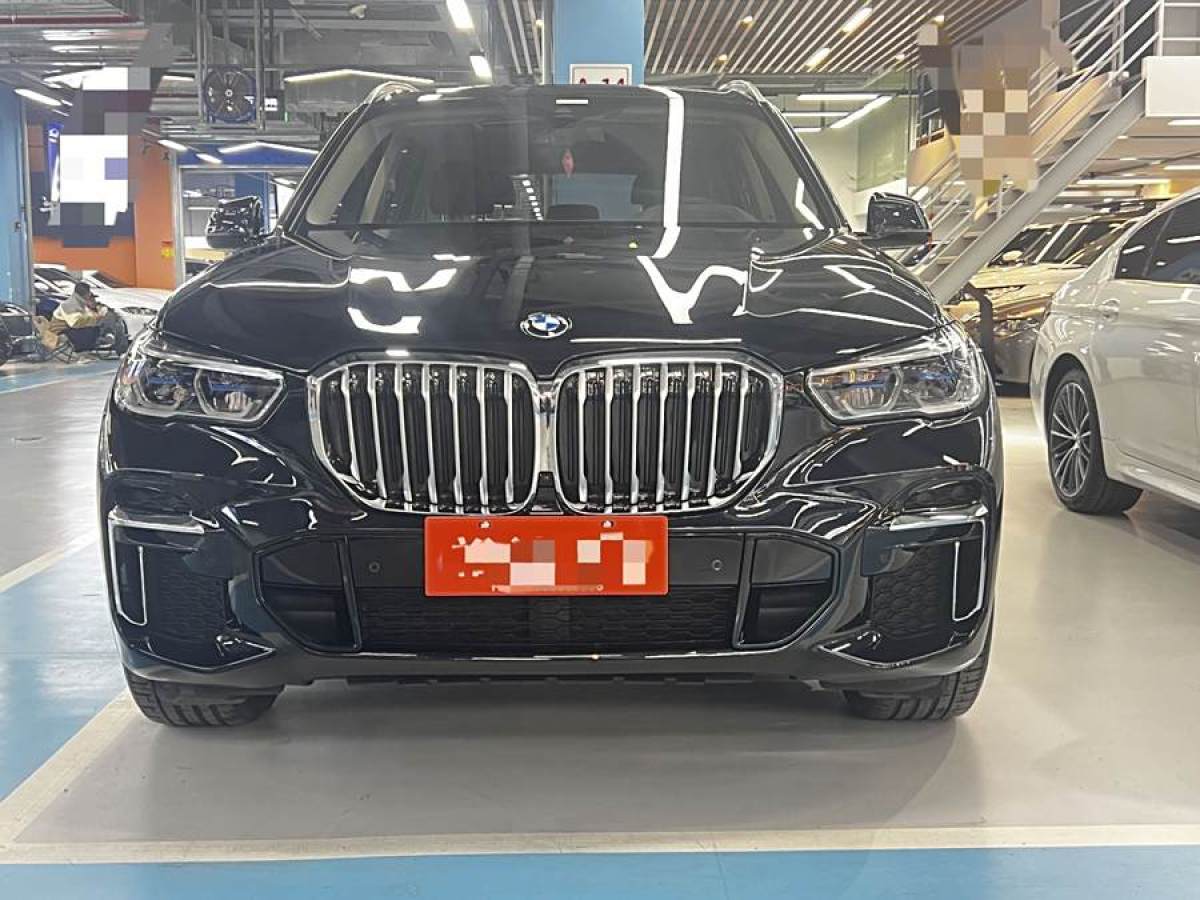 寶馬 寶馬X5  2023款 xDrive 30Li M運(yùn)動(dòng)套裝圖片