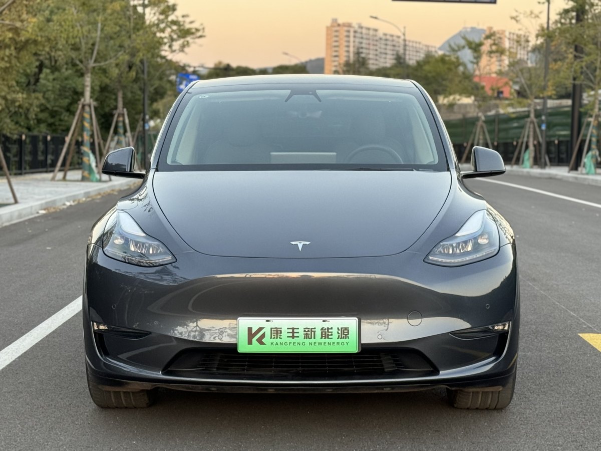 特斯拉 Model 3  2021款 改款 標準續(xù)航后驅(qū)升級版圖片