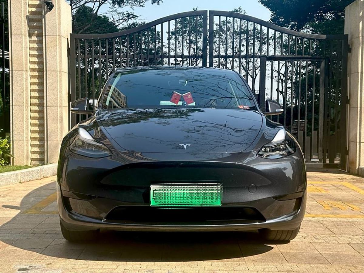 特斯拉 Model 3  2020款 改款 長續(xù)航后輪驅(qū)動版圖片