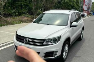 途觀 大眾 300TSI 自動兩驅(qū)絲綢之路風尚版