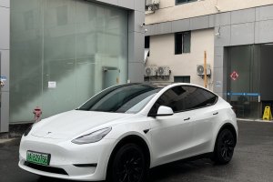 Model Y 特斯拉 改款 Performance高性能全轮驱动版