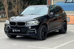 寶馬X5 寶馬 xDrive35i 典雅型