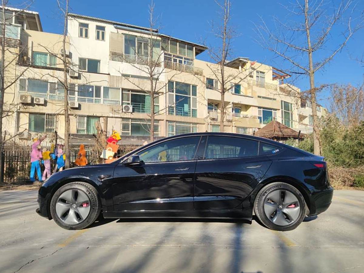 特斯拉 Model 3  2020款 改款 標(biāo)準(zhǔn)續(xù)航后驅(qū)升級版圖片