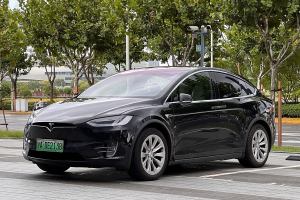 Model X 特斯拉 长续航版