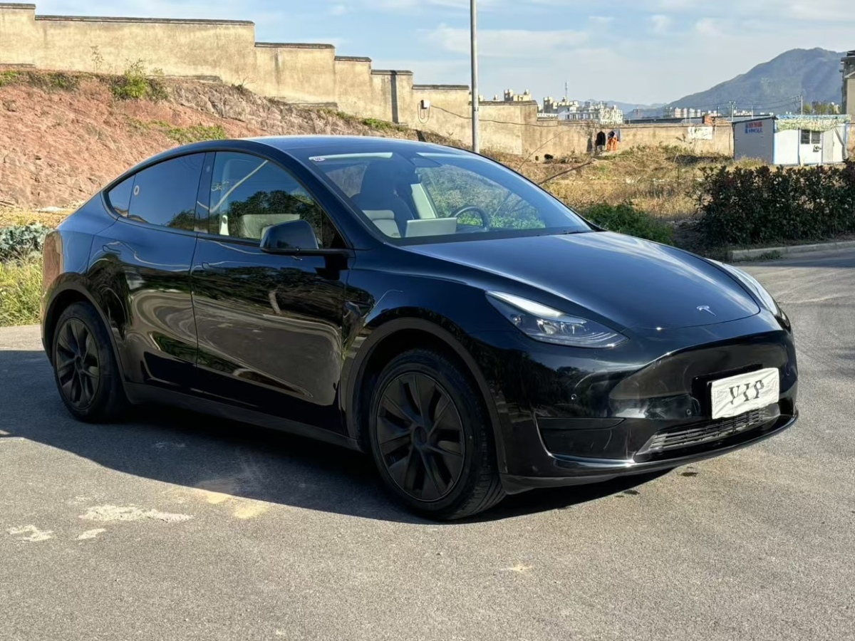 特斯拉 Model Y  2023款 后輪驅(qū)動版圖片