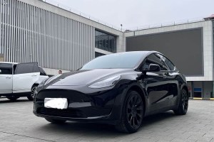 Model Y 特斯拉 改款 后輪驅(qū)動(dòng)版