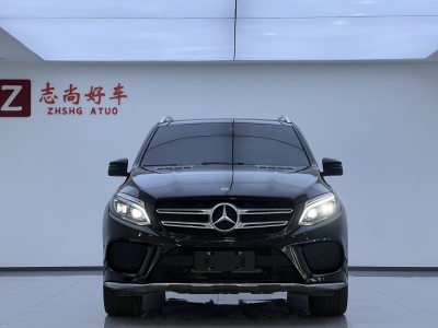 2018年12月 奔馳 奔馳GLE(進(jìn)口) GLE 320 4MATIC 動感型臻藏版圖片