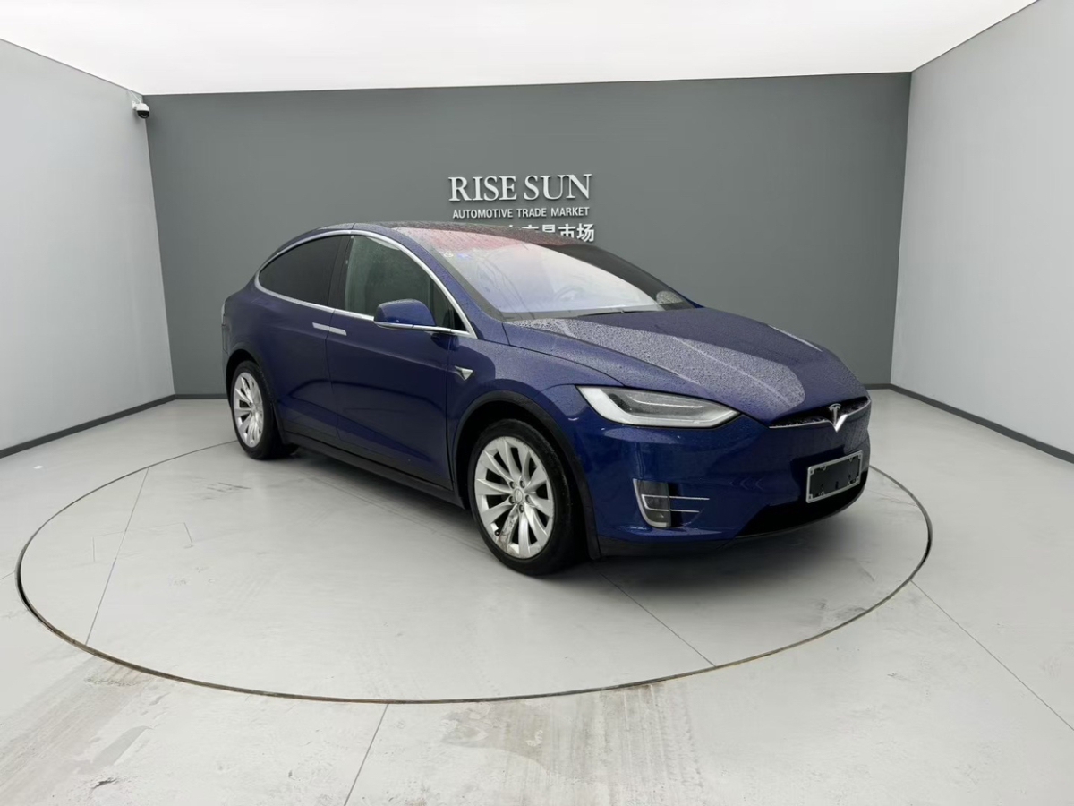 特斯拉 Model X  2016款 Model X 75D圖片