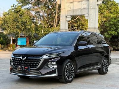 2024年4月 五菱 五菱凱捷 2.0L DHT臻享型圖片