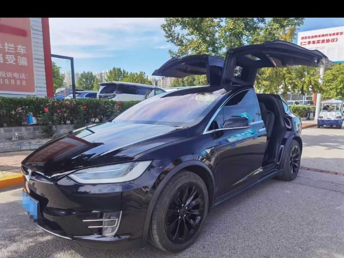 特斯拉 Model X  2020款 Performance 高性能版圖片