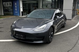 Model 3 特斯拉 標(biāo)準(zhǔn)續(xù)航后驅(qū)升級(jí)版 3D6