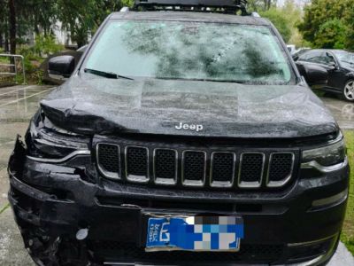 2018年7月 Jeep 指挥官 2.0T 两驱进享版图片
