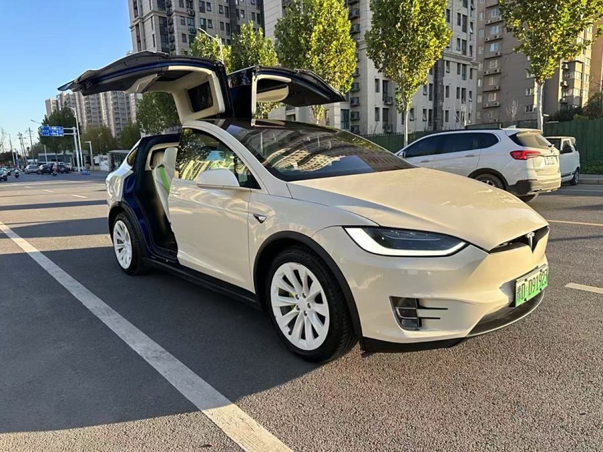 特斯拉 Model X  2016款 Model X 90D圖片