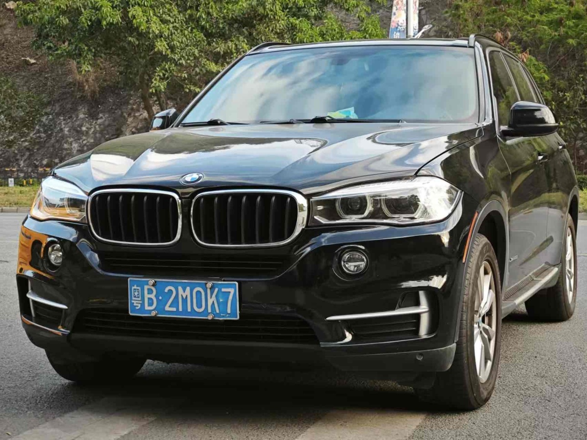 寶馬 寶馬X5  2014款 xDrive35i 典雅型圖片