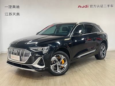 2021年6月 奧迪 奧迪e-tron 50 quattro 臻選型圖片