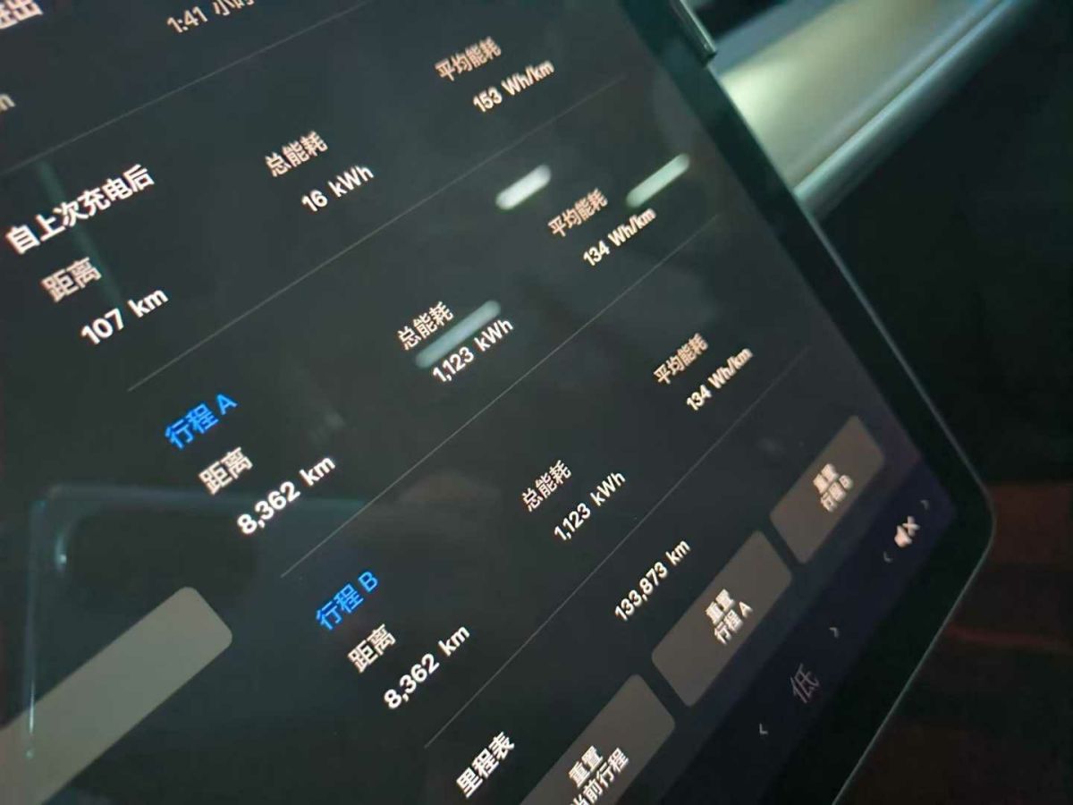特斯拉 Model X  2020款 Performance 高性能版圖片