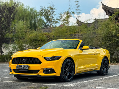 2019年3月 福特 Mustang(进口) 2.3T 性能版图片