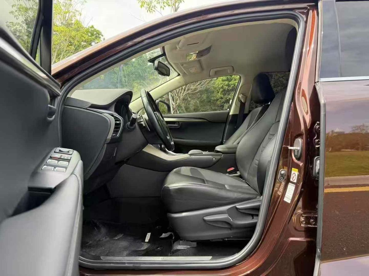 雷克薩斯 NX  2019款 300h 百萬(wàn)紀(jì)念限量版 國(guó)VI圖片