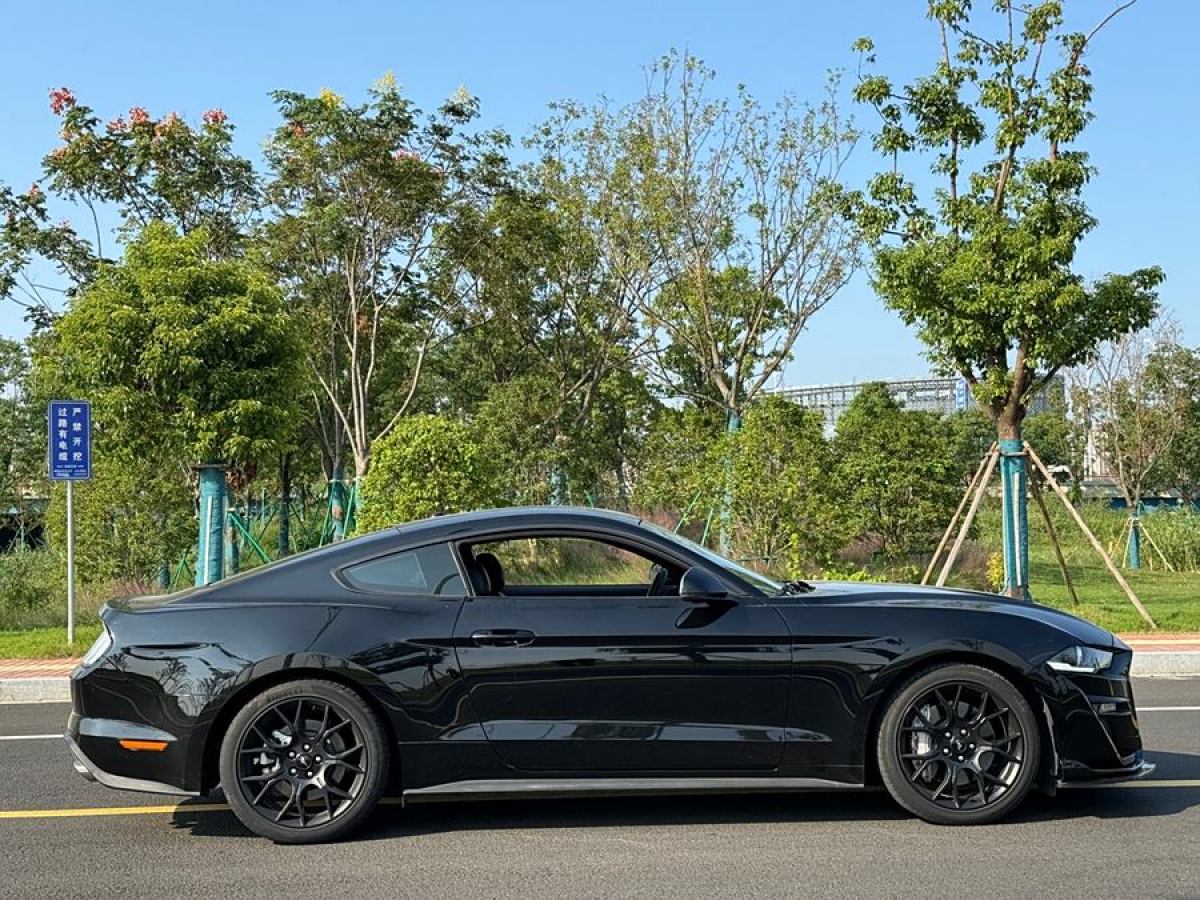 福特 Mustang  2020款 2.3L EcoBoost圖片