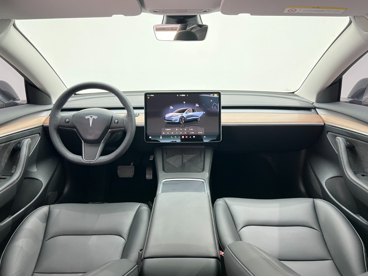 特斯拉 Model 3  2022款 后輪驅(qū)動版圖片