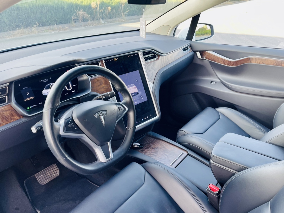 特斯拉 Model X  2019款 标准续航版图片