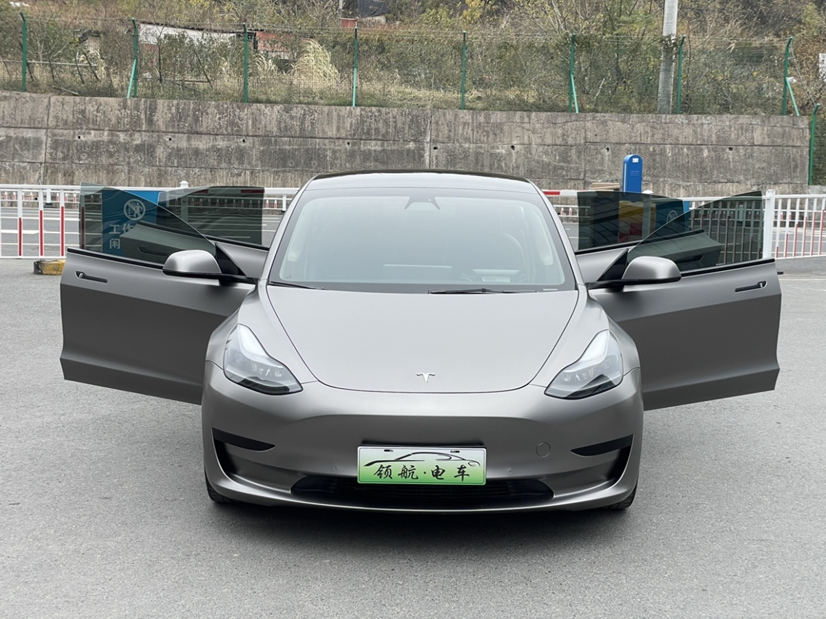 特斯拉 Model 3  2021款 標(biāo)準(zhǔn)續(xù)航后驅(qū)升級(jí)版 3D6圖片