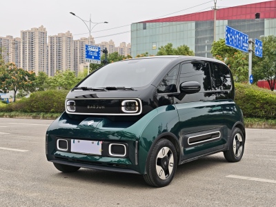 2022年3月 寶駿 寶駿KiWi EV 藝術(shù)家輕享版 三元鋰圖片