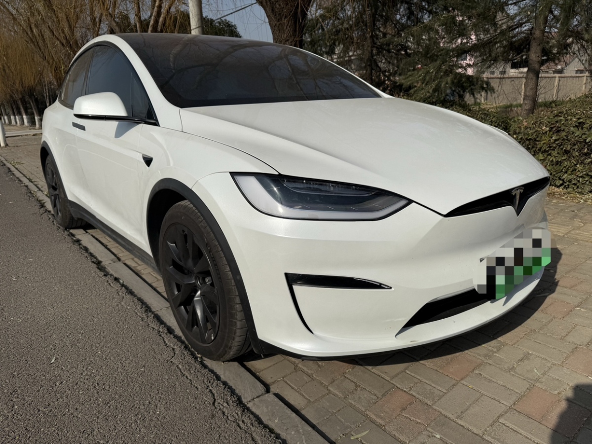 特斯拉 Model X  2021款 長(zhǎng)續(xù)航升級(jí)版圖片